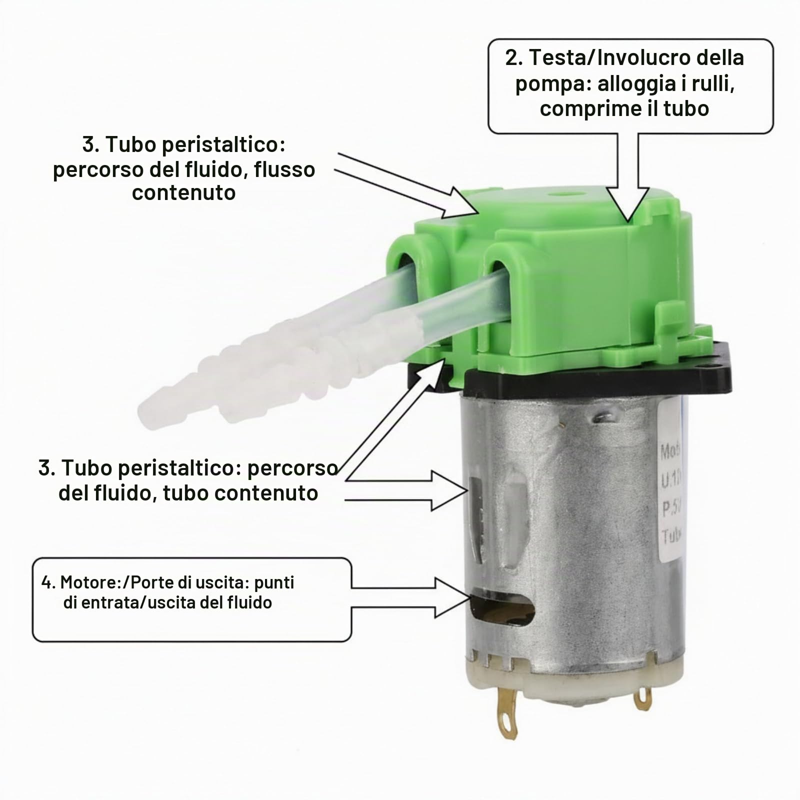 TICFOX Pompa Peristaltica 12V 10-90ml/min Verde