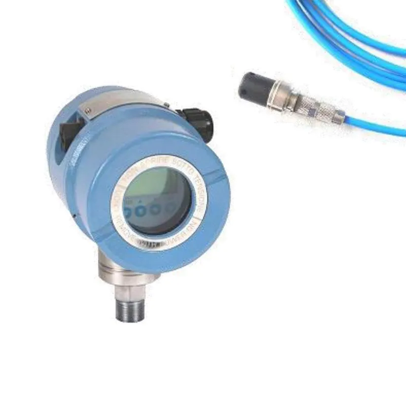 Terranova Instruments SSW79B interruttore livello sommergibile
