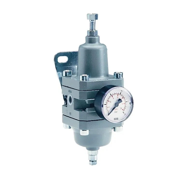 Terranova Instruments FR20 filtro regolatore pneumatico strumenti