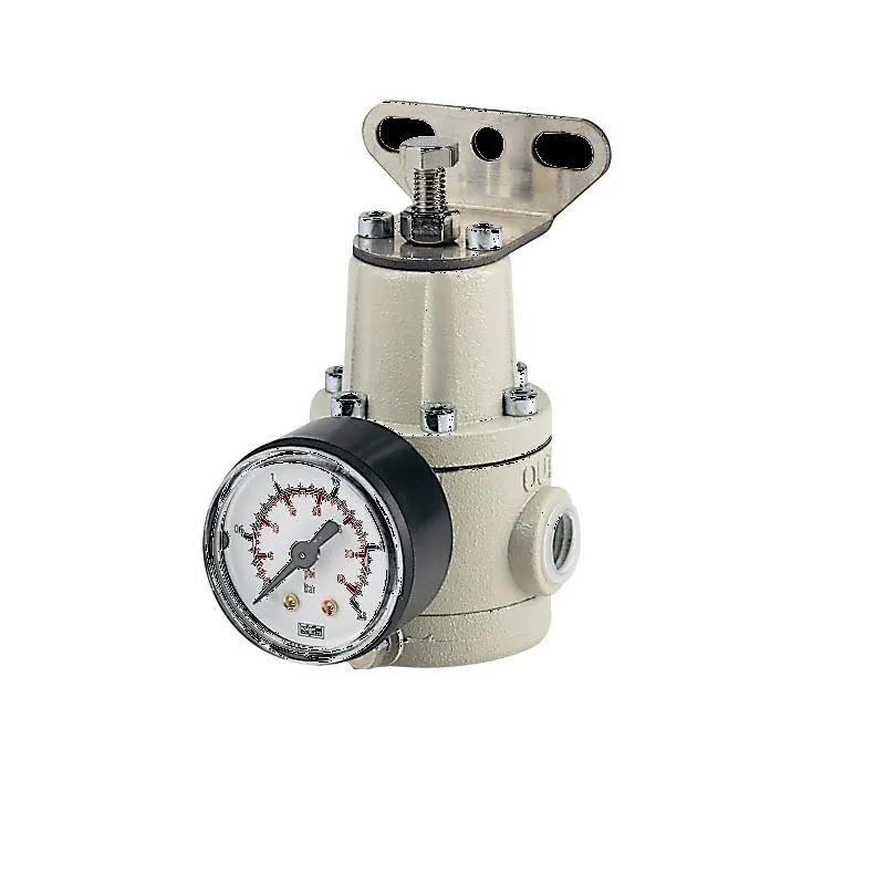 Terranova Instruments FR10 regolatore filtro miniaturizzato