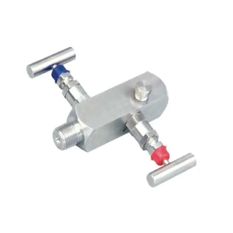 Terranova Instruments MAN2 manifold 2 valvole 2 vie